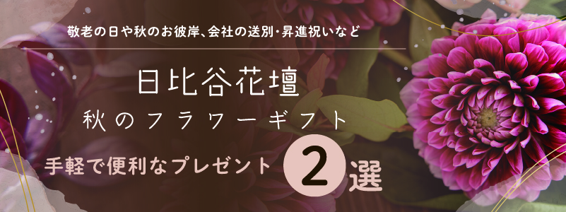 ハナノヒ_ショップ訴求_メルマガバナー (1)